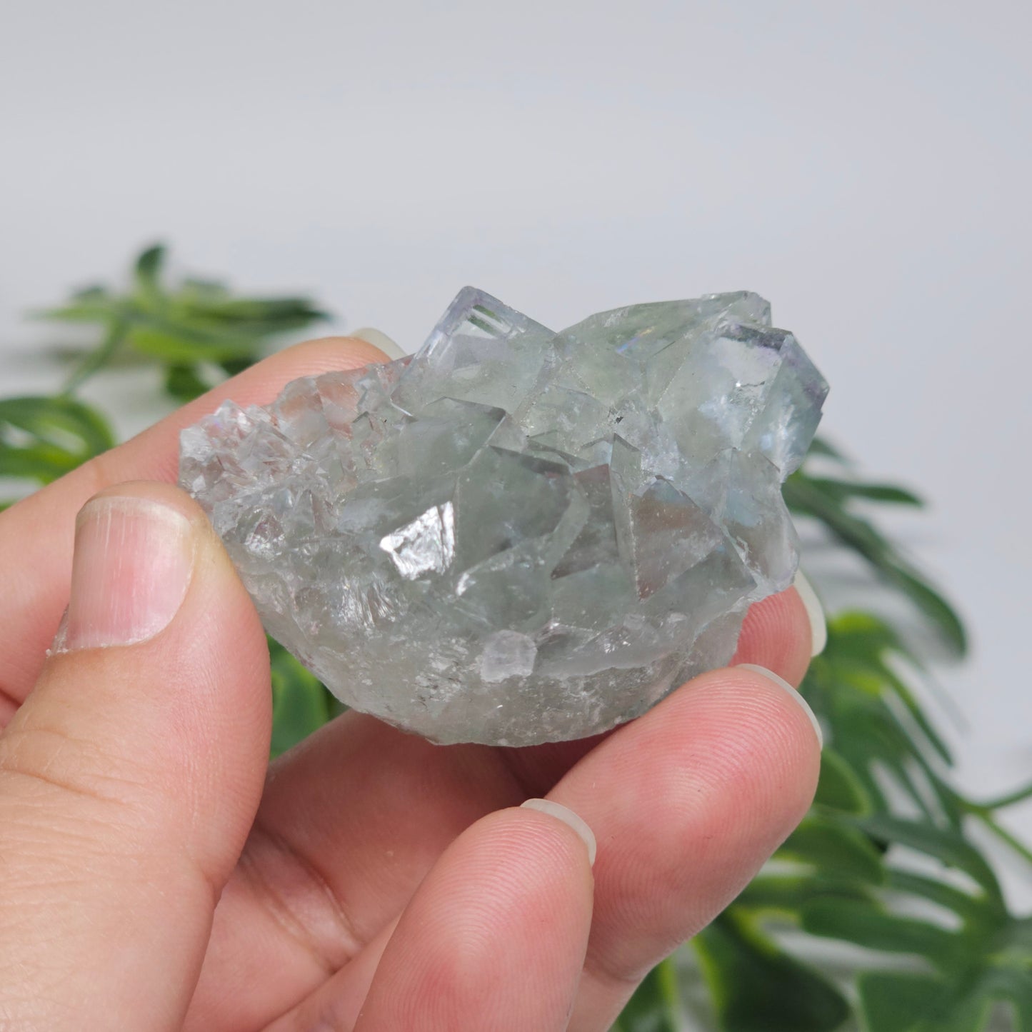 Light Green Transparent Cubic Fluorite Specimen A | Rainbow Iridescence | Xianghualing, China