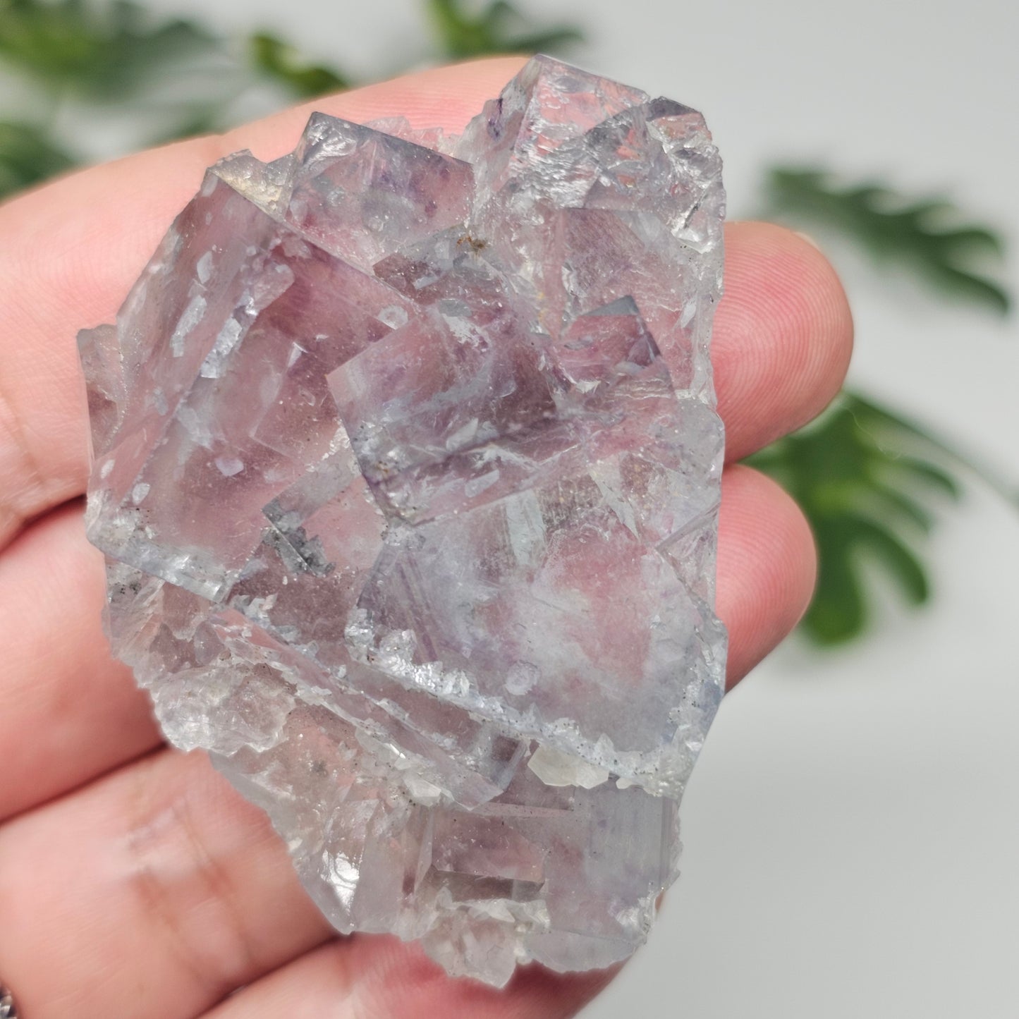Seafoam Green Cubic Fluorite Specimen B | Large Transparent Crystal Cluster | Xianghualing China