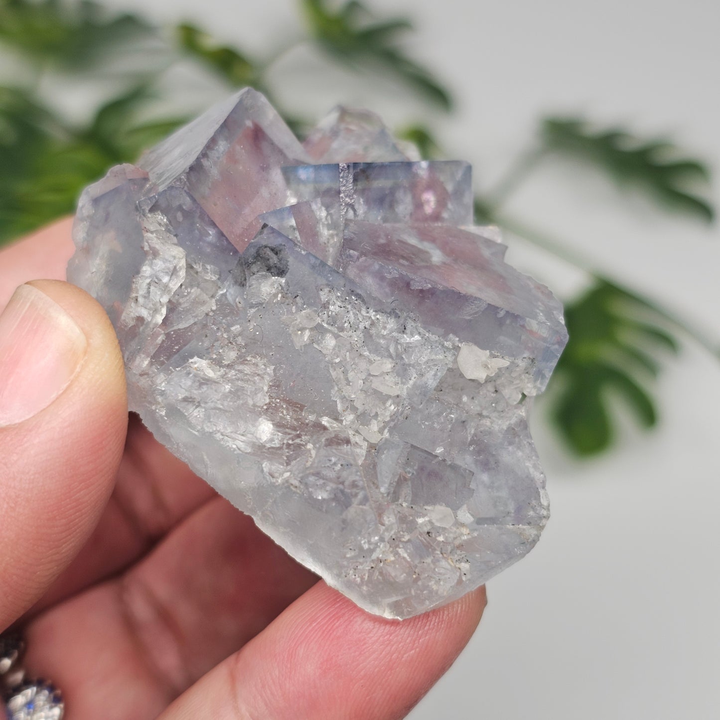 Seafoam Green Cubic Fluorite Specimen B | Large Transparent Crystal Cluster | Xianghualing China