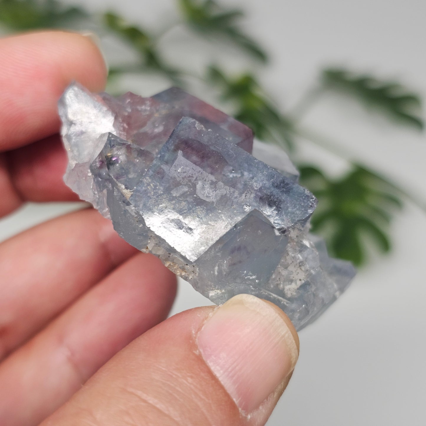 Seafoam Green Cubic Fluorite Specimen B | Large Transparent Crystal Cluster | Xianghualing China