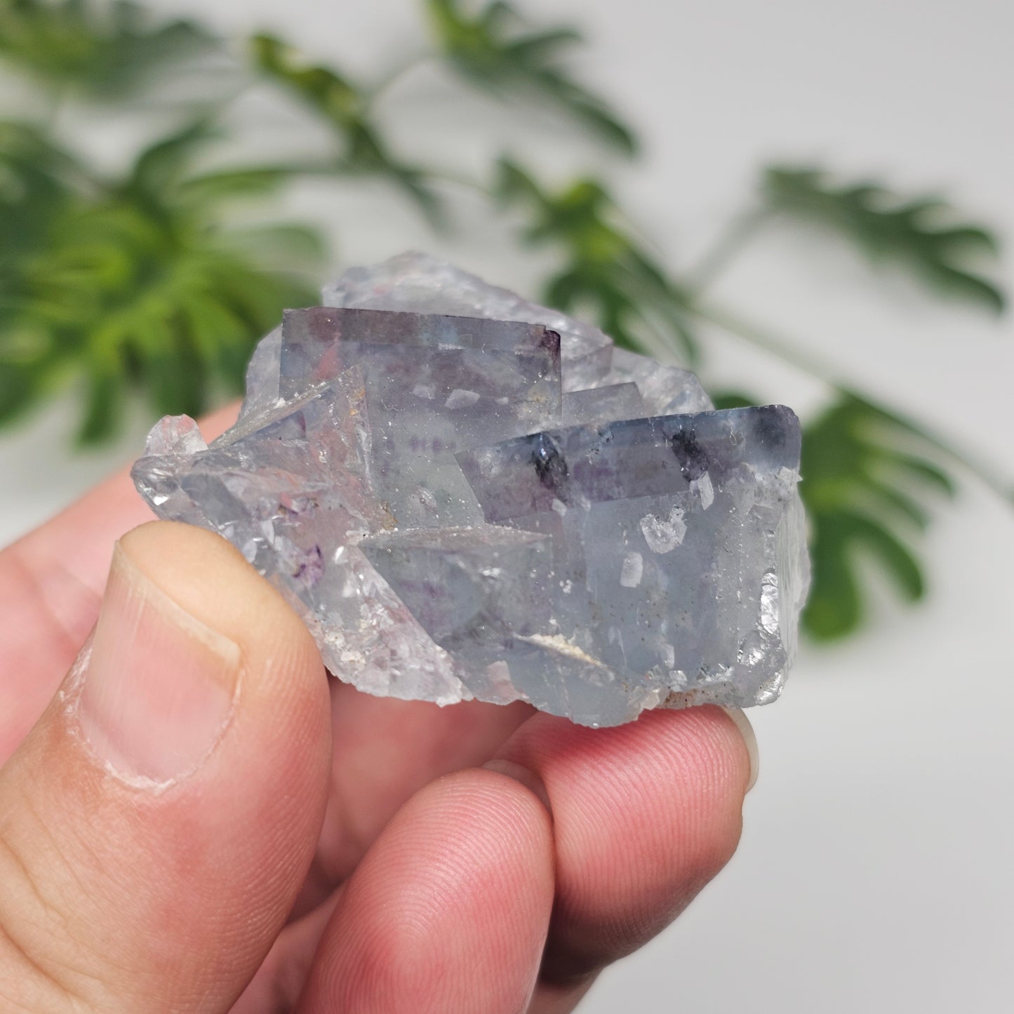 Seafoam Green Cubic Fluorite Specimen B | Large Transparent Crystal Cluster | Xianghualing China