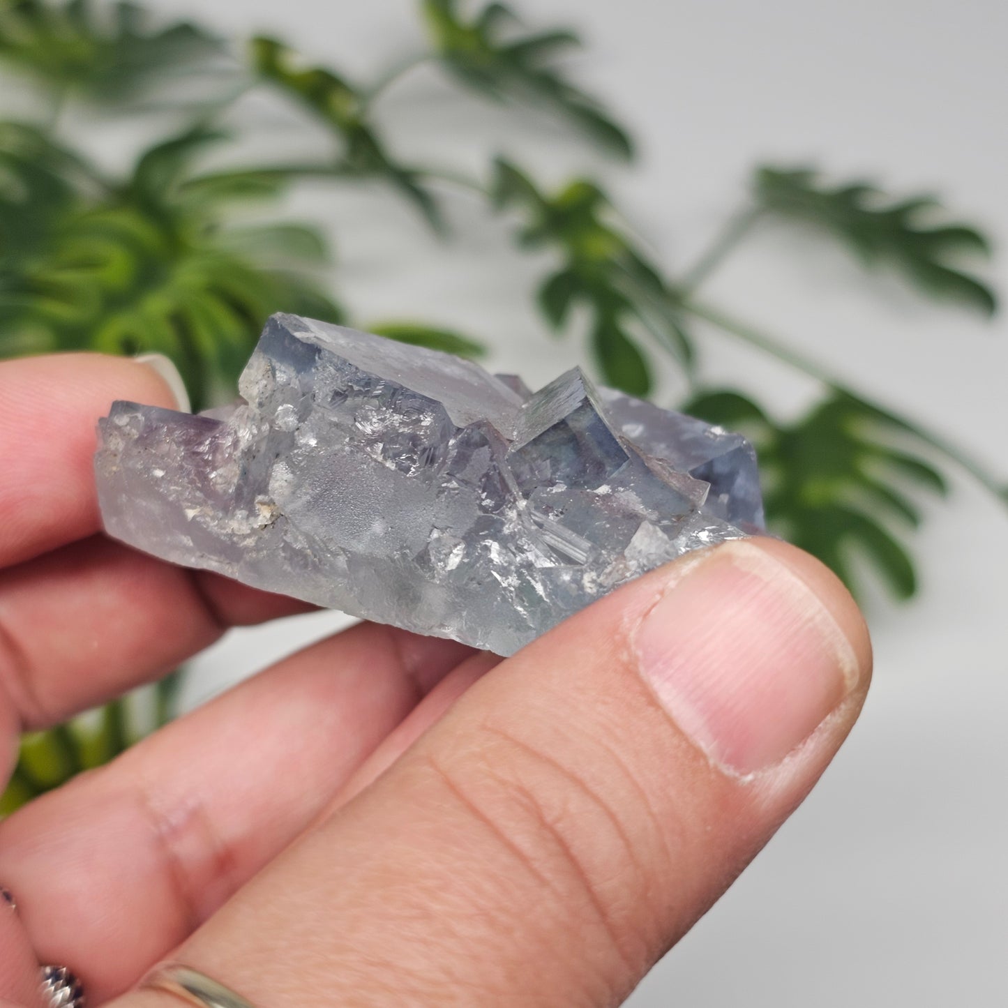 Seafoam Green Cubic Fluorite Specimen B | Large Transparent Crystal Cluster | Xianghualing China