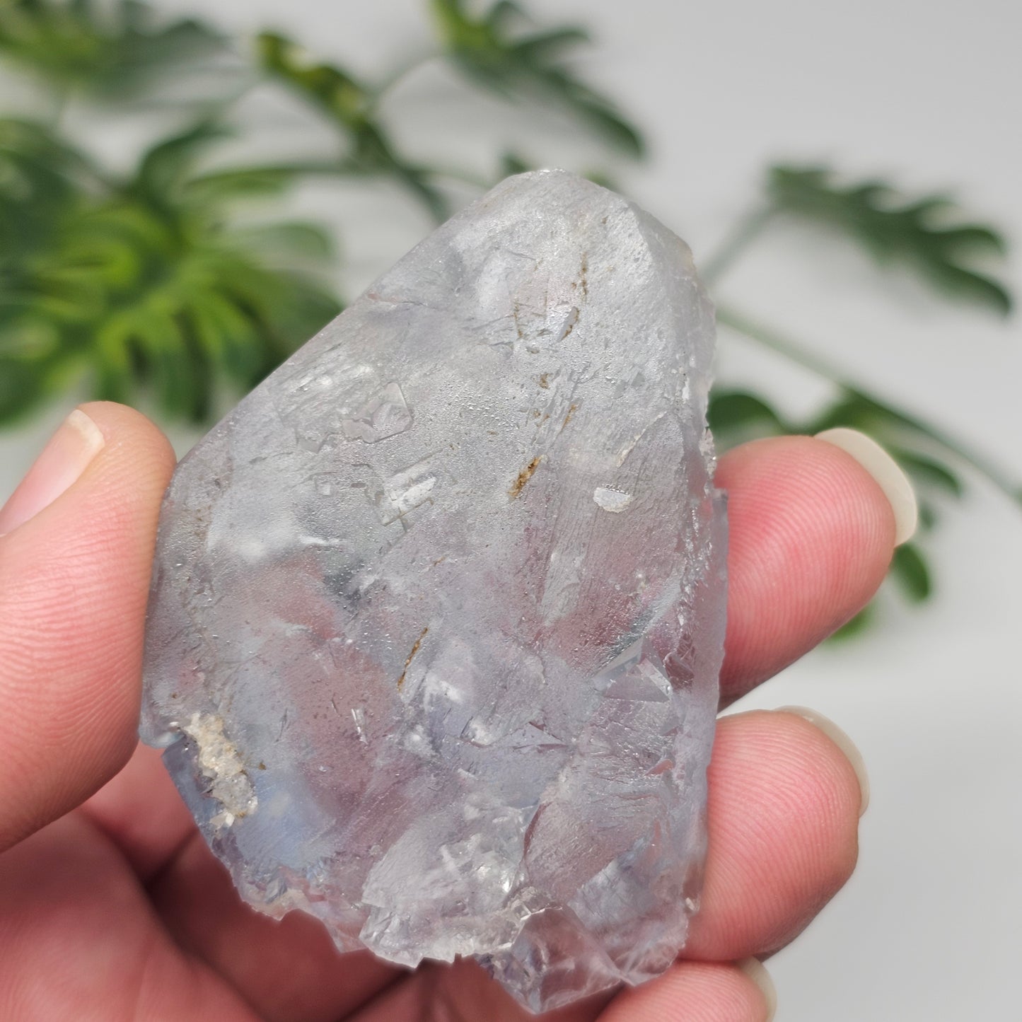 Seafoam Green Cubic Fluorite Specimen B | Large Transparent Crystal Cluster | Xianghualing China