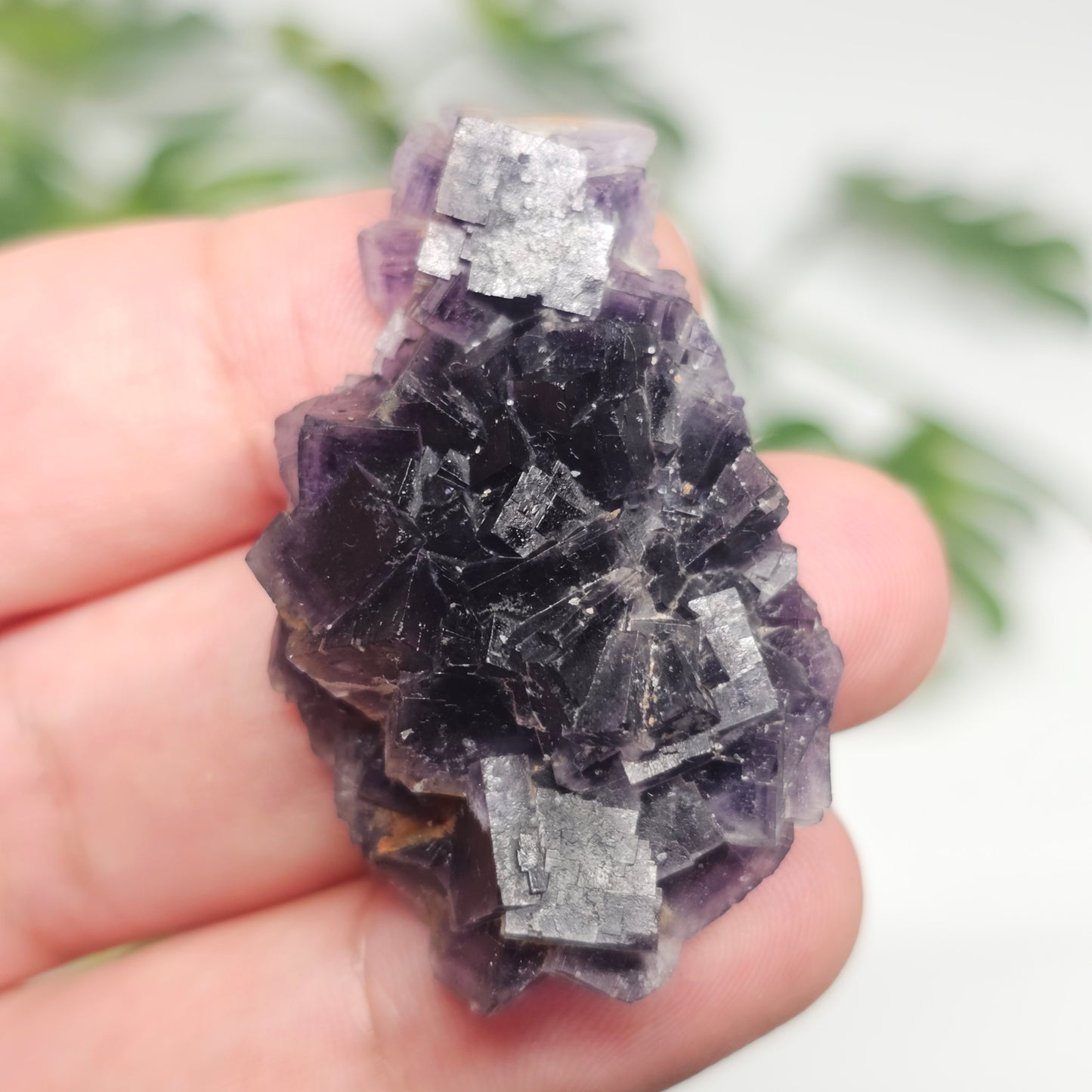 Raw Purple Fluorite Cluster Specimen | Zhejiang, China
