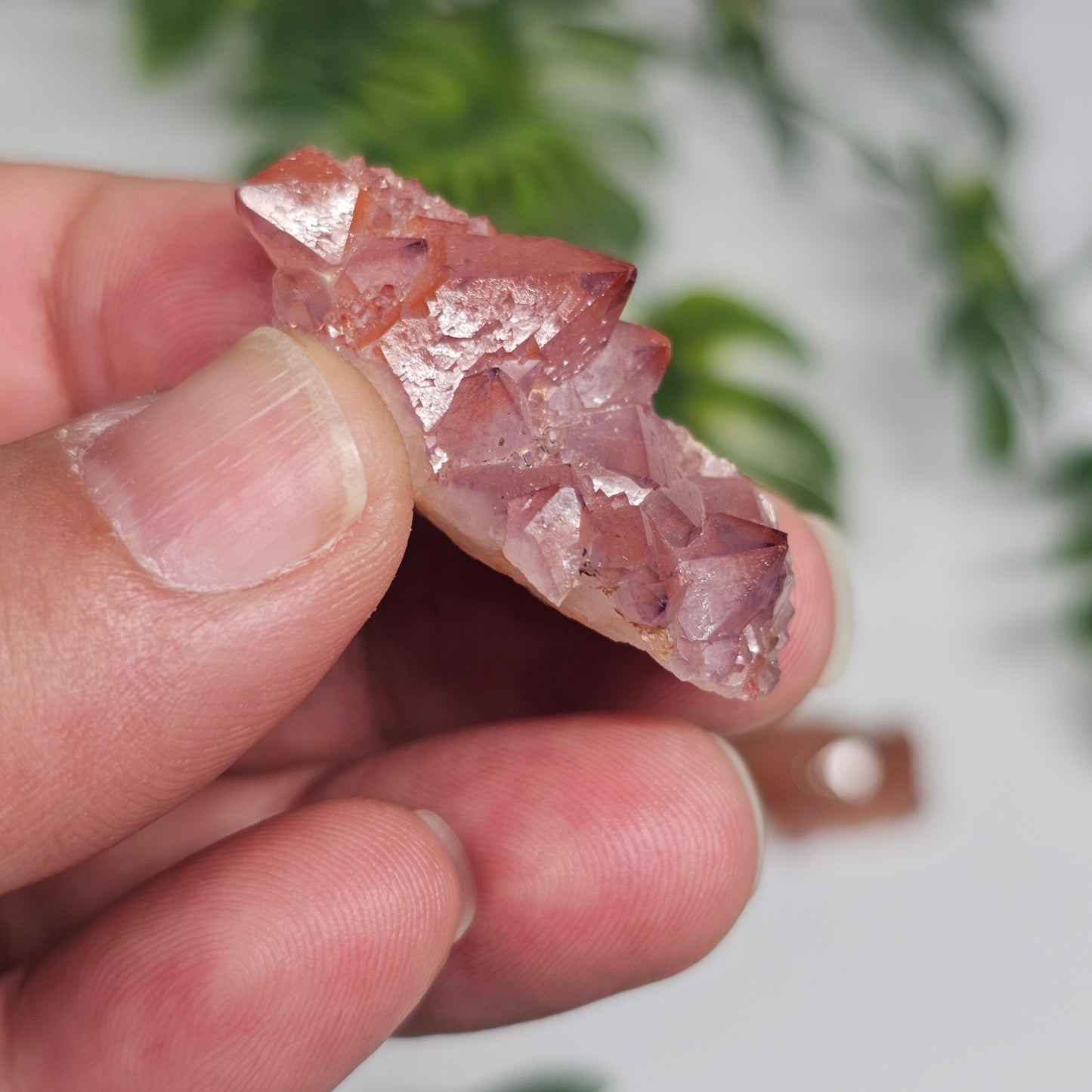 Pink Amethyst Cluster | Specimen B | Brazil