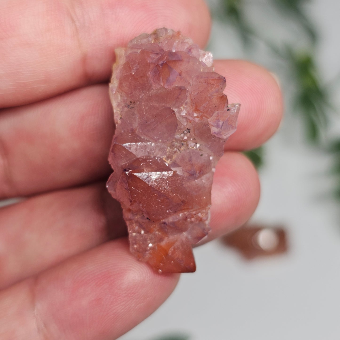 Pink Amethyst Cluster | Specimen B | Brazil