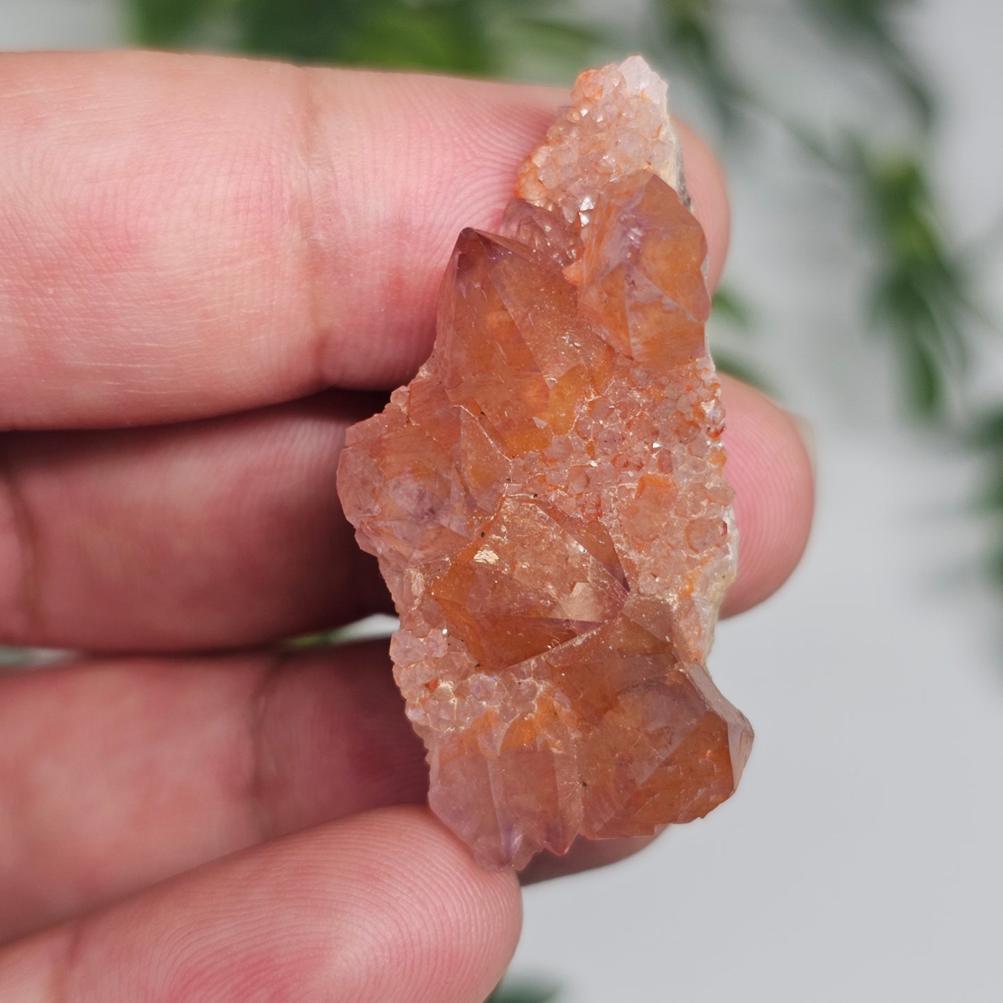 Pink Amethyst Cluster | Specimen A | Brazil