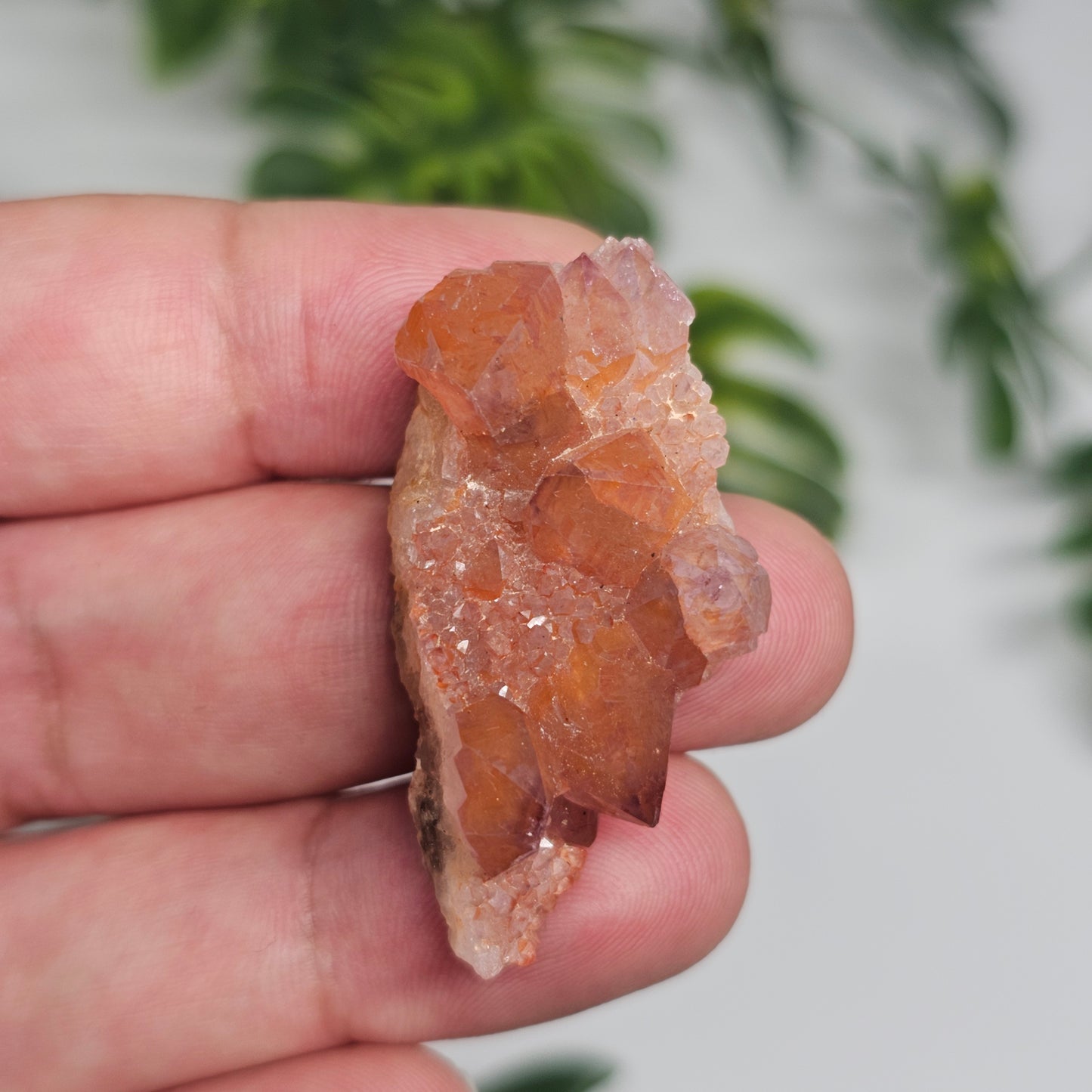 Pink Amethyst Cluster | Specimen A | Brazil