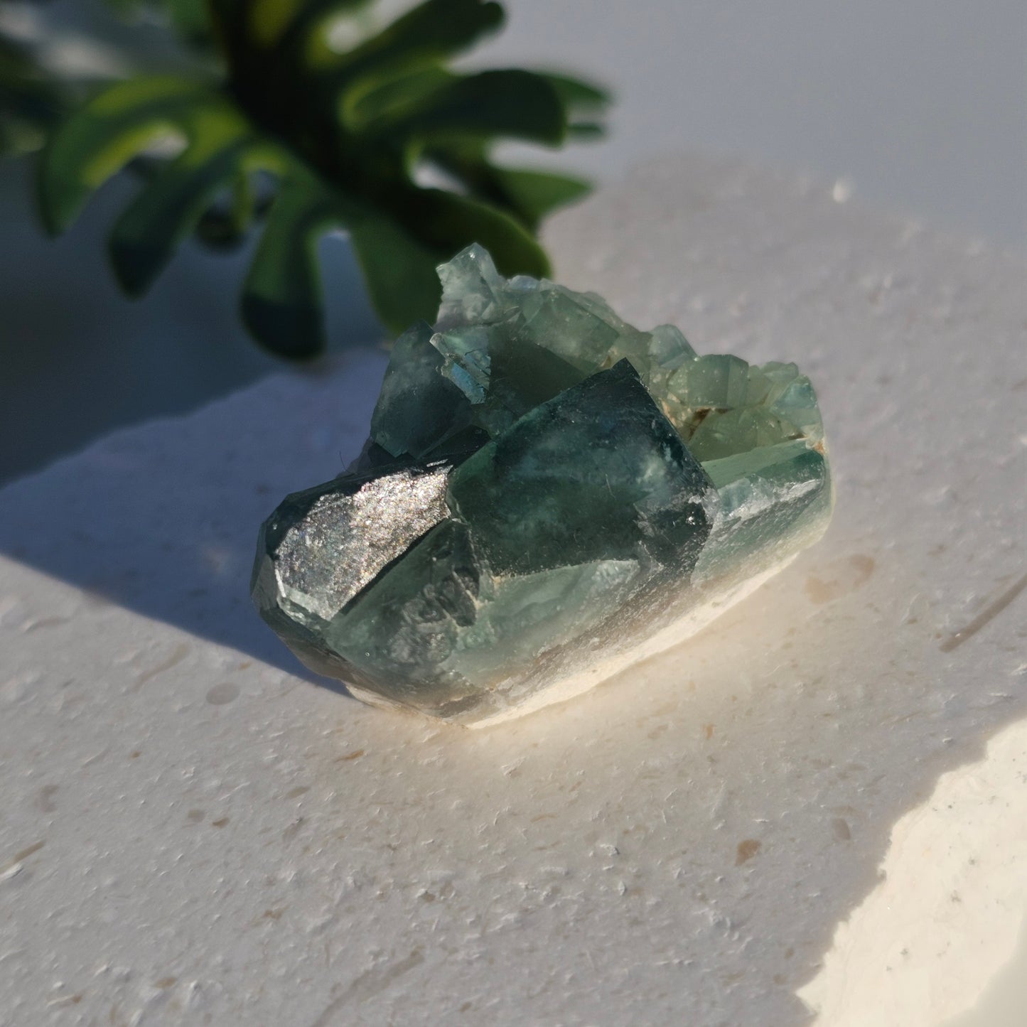 Colour-Change Fluorite on Matrix | Specimen A | Green to Blue Daylight Fluorite | UV Reactive | Madagascar