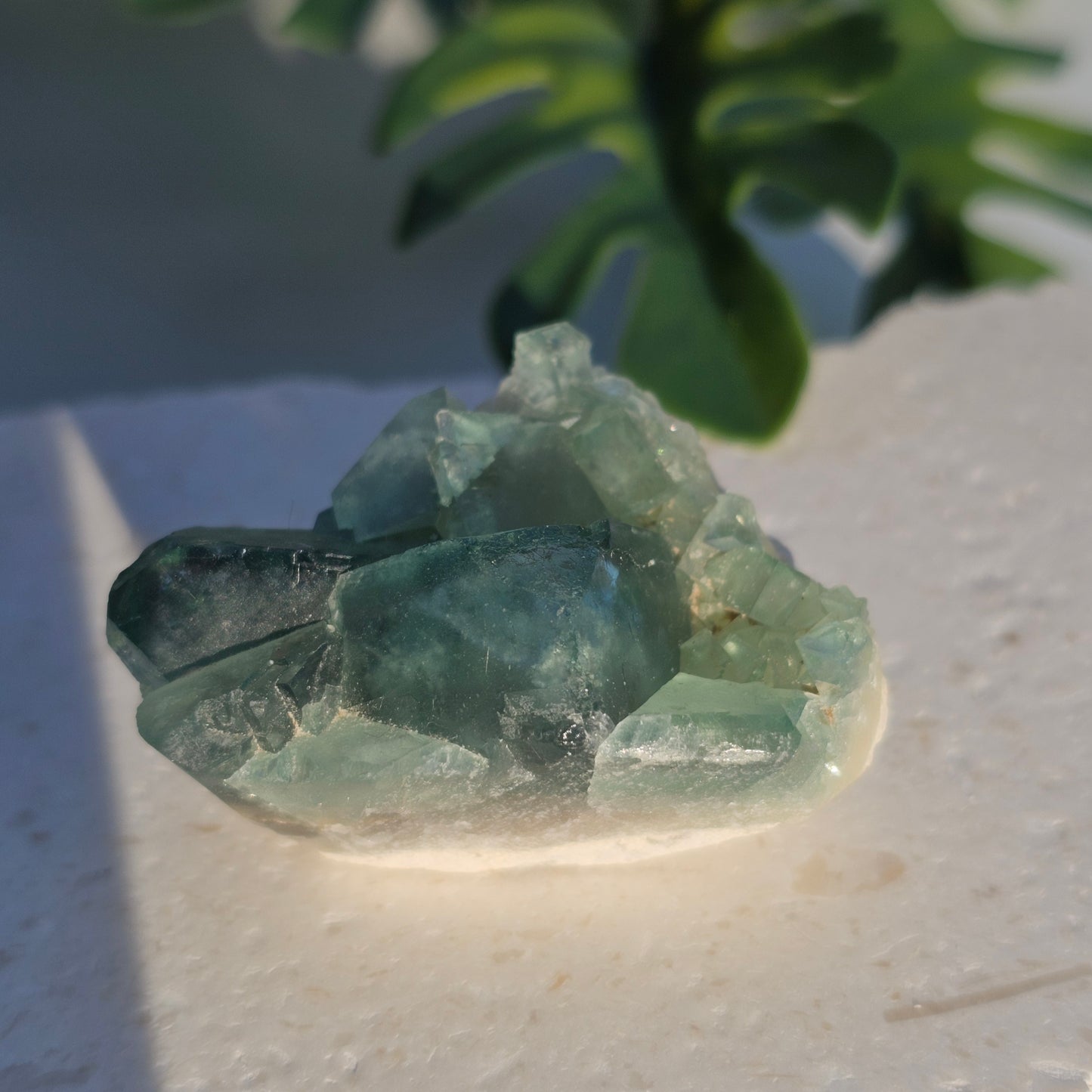 Colour-Change Fluorite on Matrix | Specimen A | Green to Blue Daylight Fluorite | UV Reactive | Madagascar