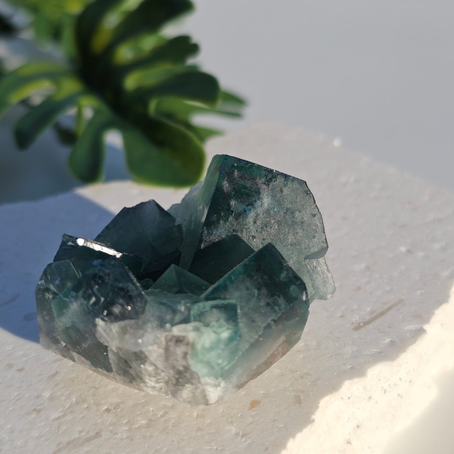 Colour-Change Fluorite on Matrix | Specimen C | Green to Blue Daylight Fluorite | UV Reactive | Madagascar