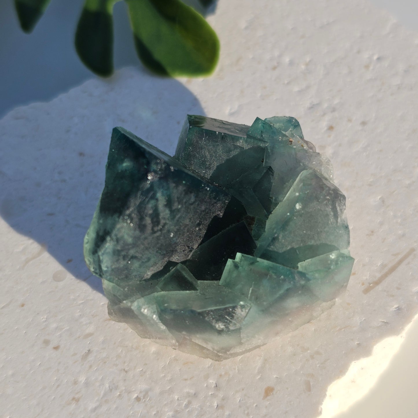 Colour-Change Fluorite on Matrix | Specimen C | Green to Blue Daylight Fluorite | UV Reactive | Madagascar