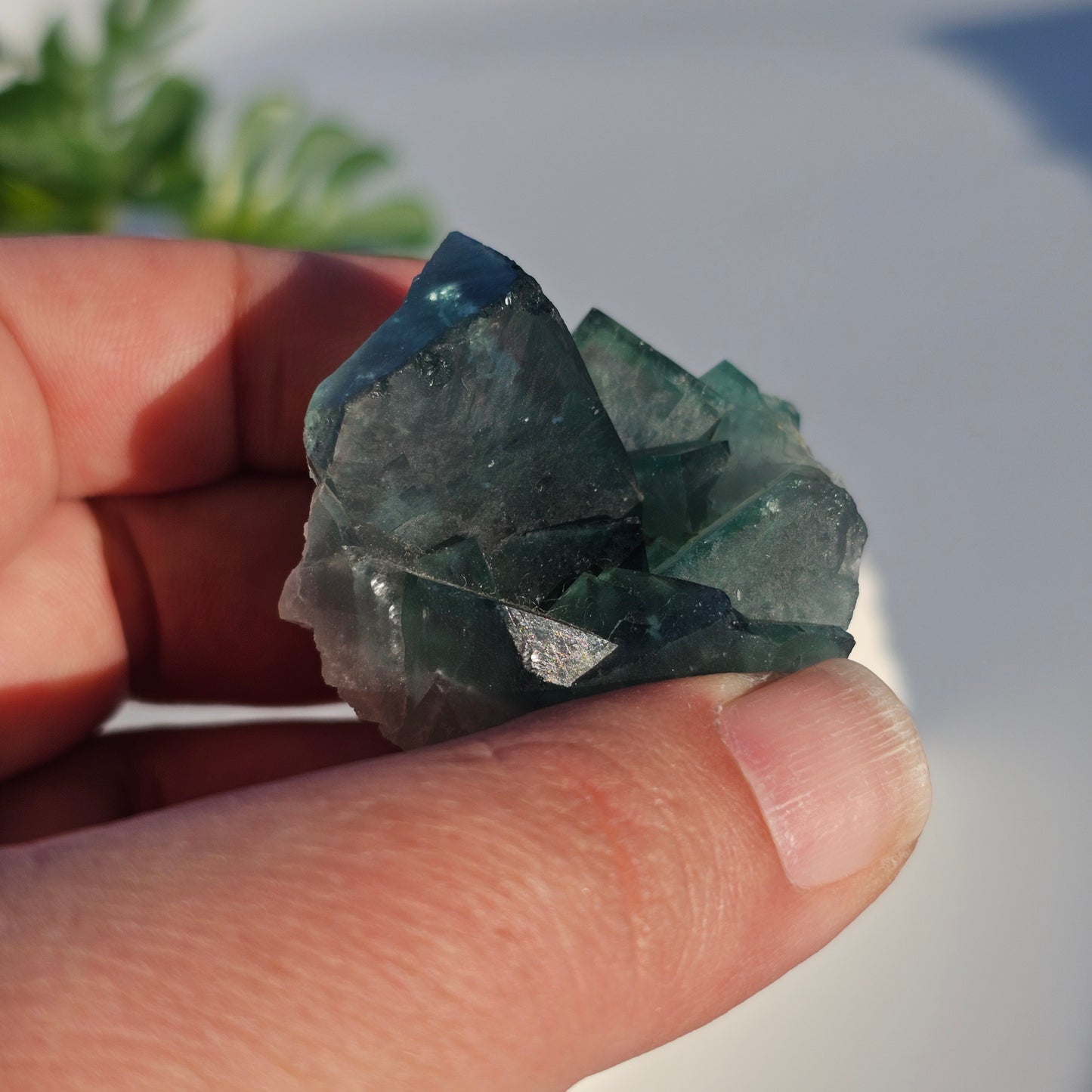 Colour-Change Fluorite on Matrix | Specimen C | Green to Blue Daylight Fluorite | UV Reactive | Madagascar