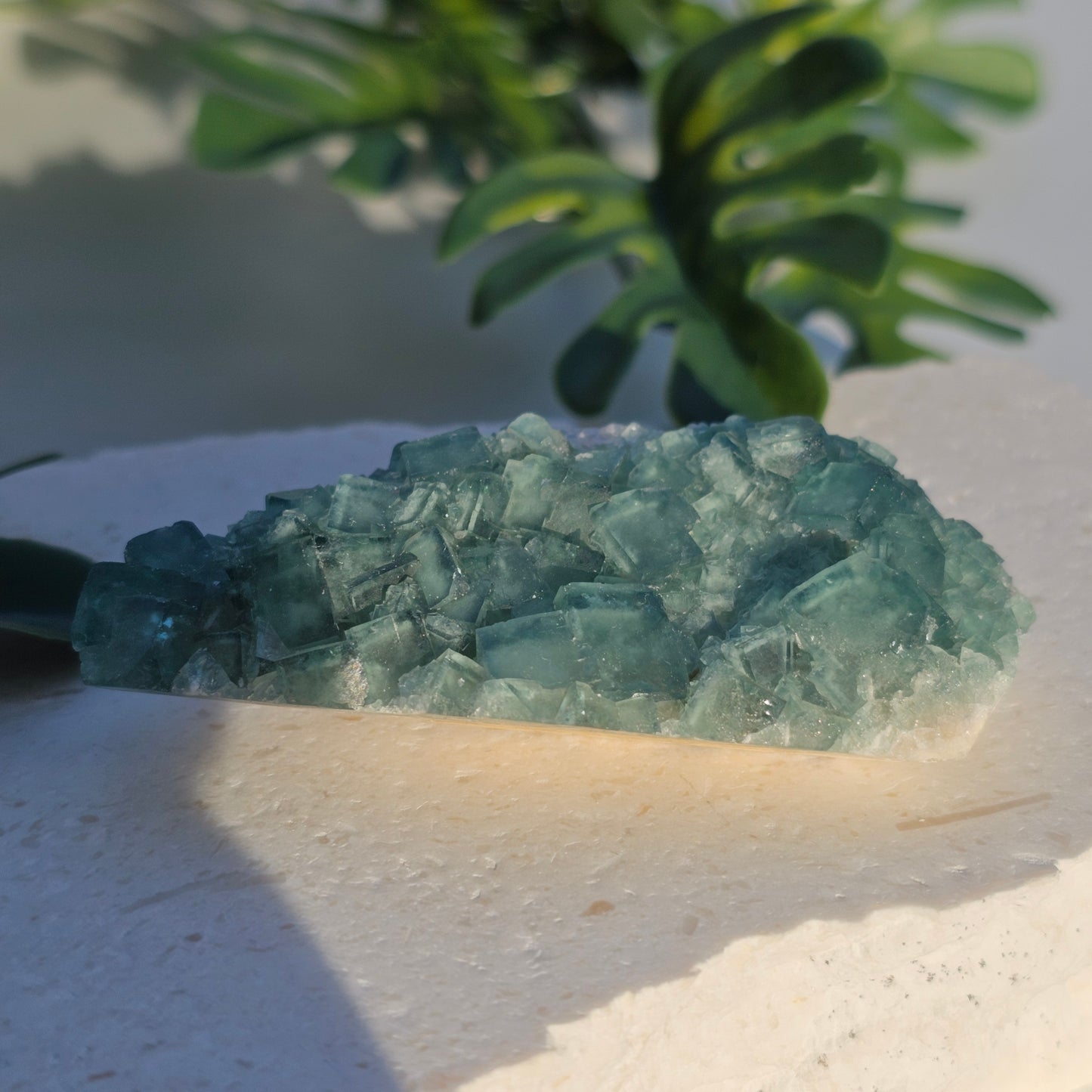 Colour-Change Fluorite on Matrix | Specimen B | Green to Blue Daylight Fluorite | UV Reactive | Madagascar