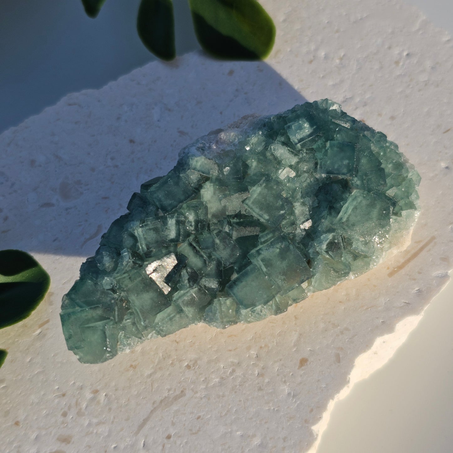Colour-Change Fluorite on Matrix | Specimen B | Green to Blue Daylight Fluorite | UV Reactive | Madagascar