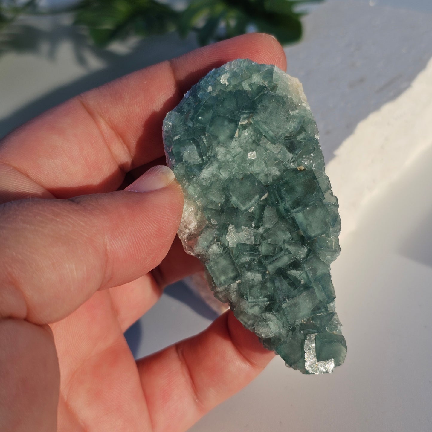 Colour-Change Fluorite on Matrix | Specimen B | Green to Blue Daylight Fluorite | UV Reactive | Madagascar