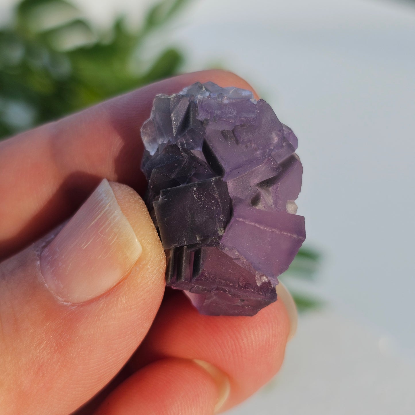 Raw Purple Fluorite Cluster | Frosted Matte Specimen | Yunan, China
