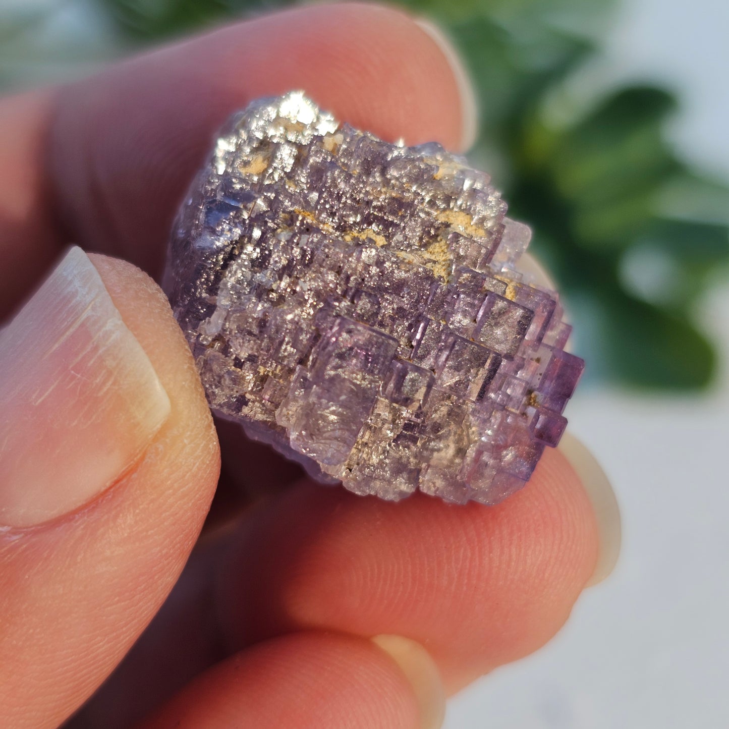 Stepped Cubic Fluorite Cluster | Specimen A | Raw Purple Fluorite from Xinjang, China
