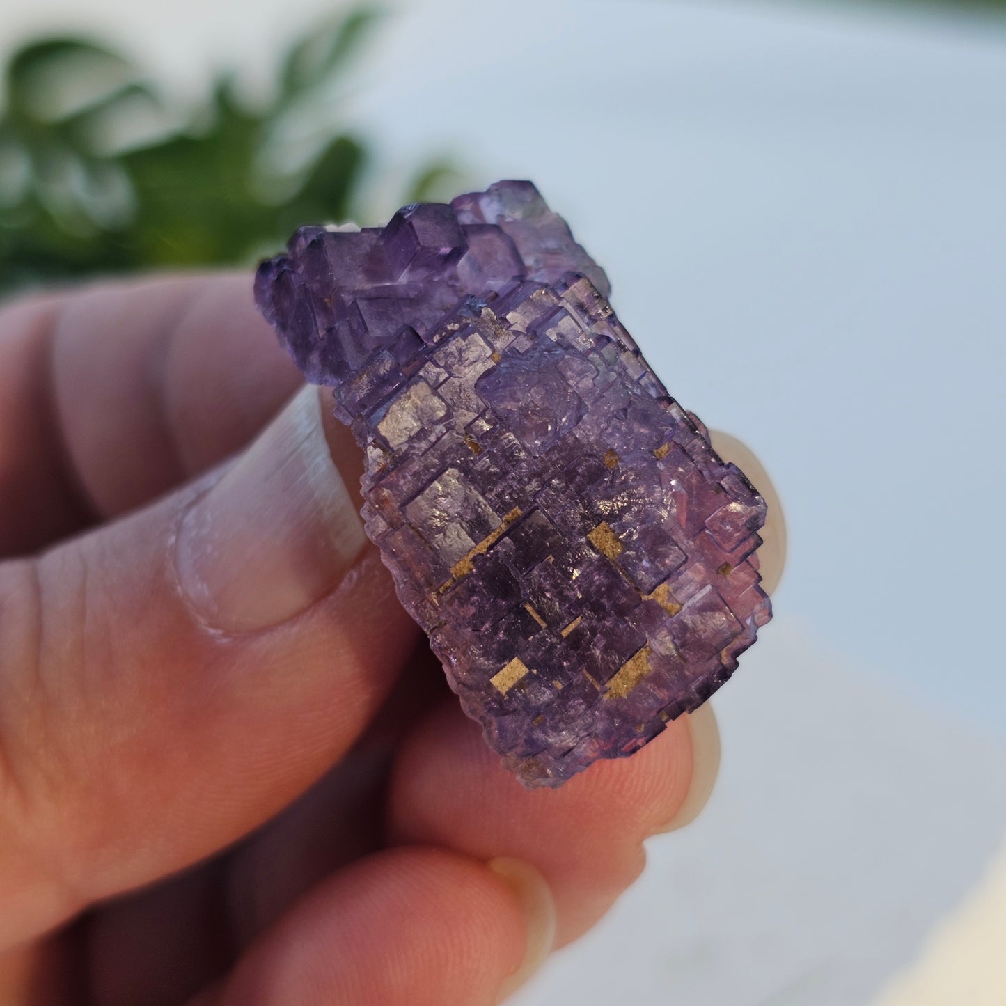 Stepped Cubic Fluorite Cluster | Specimen B | Raw Purple Fluorite from Xinjang, China