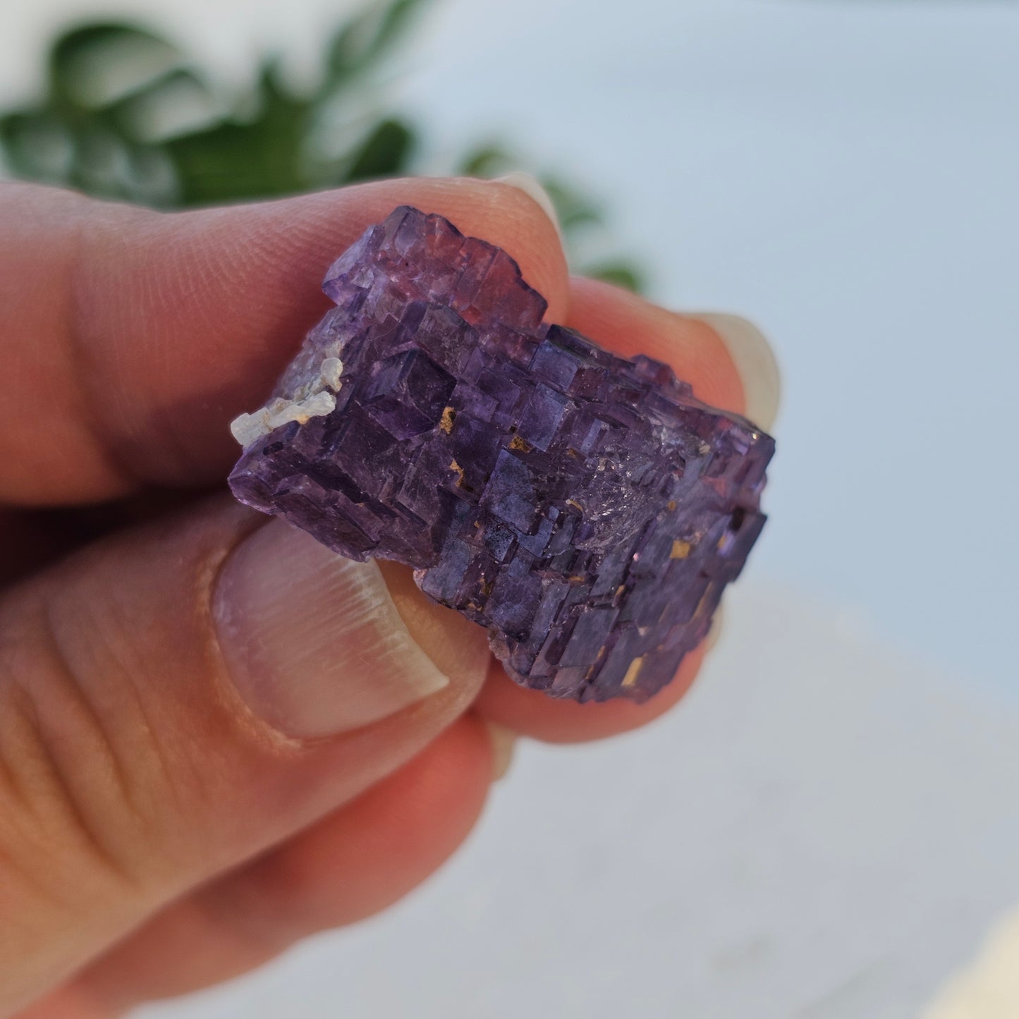 Stepped Cubic Fluorite Cluster | Specimen B | Raw Purple Fluorite from Xinjang, China