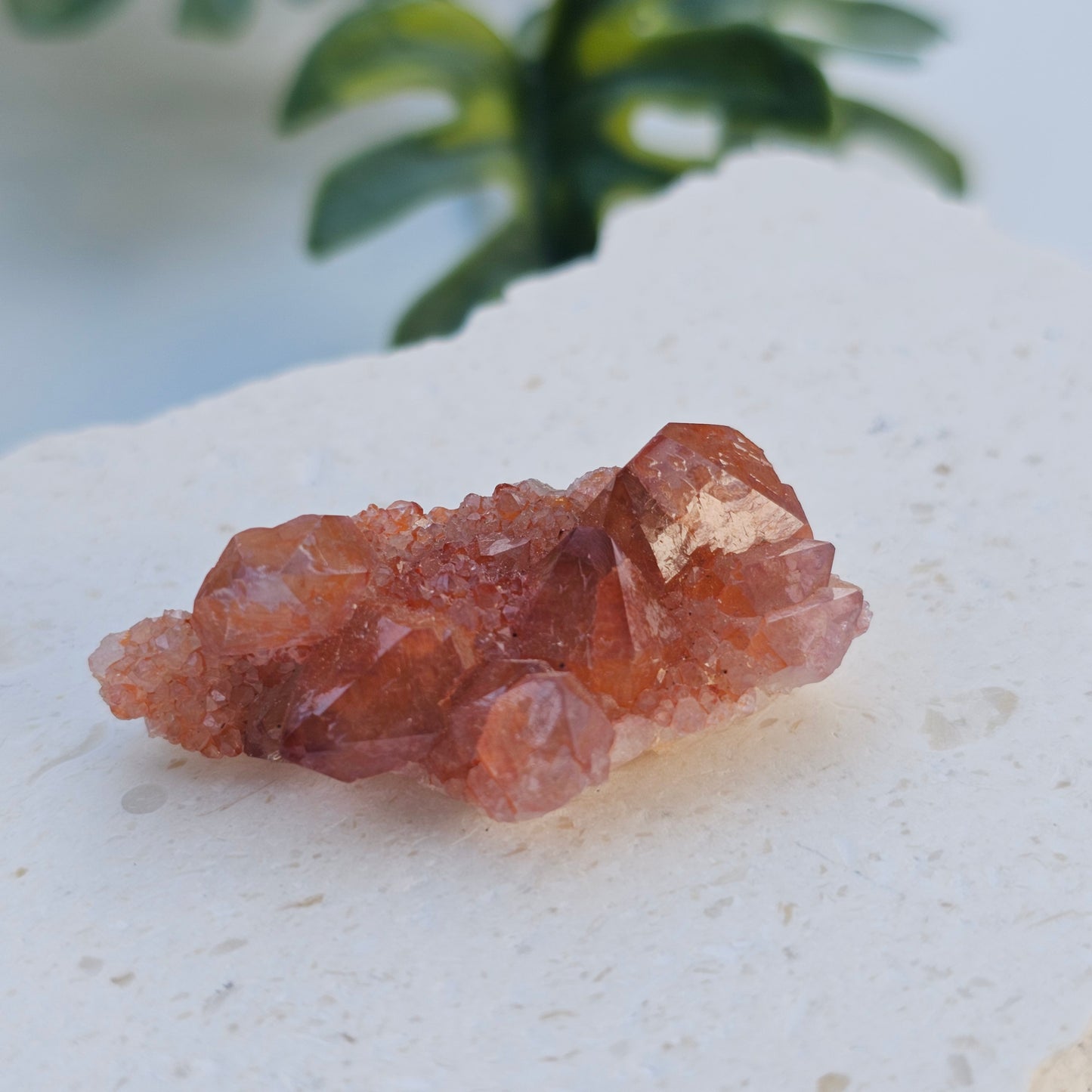 Pink Amethyst Cluster | Specimen A | Brazil