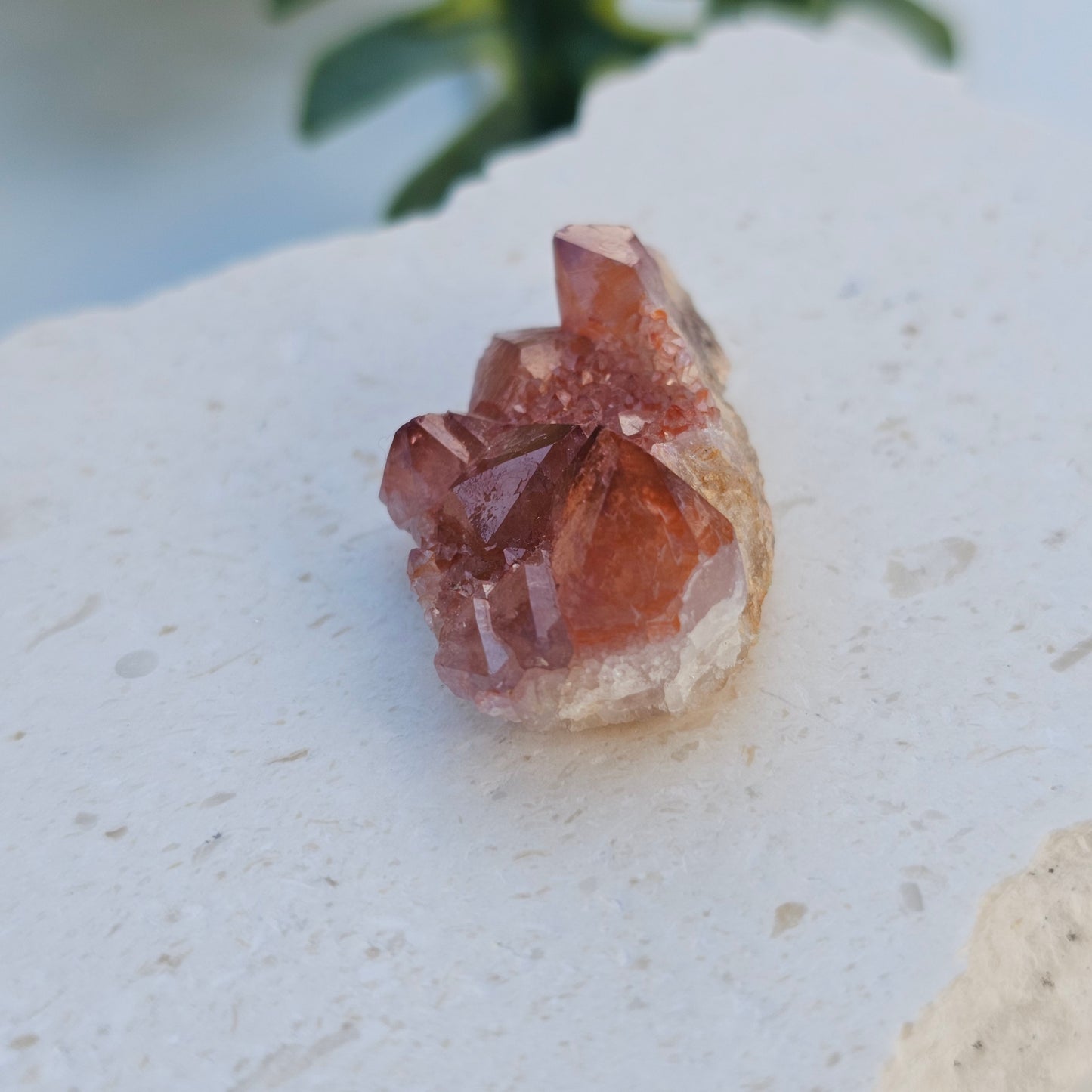 Pink Amethyst Cluster | Specimen A | Brazil