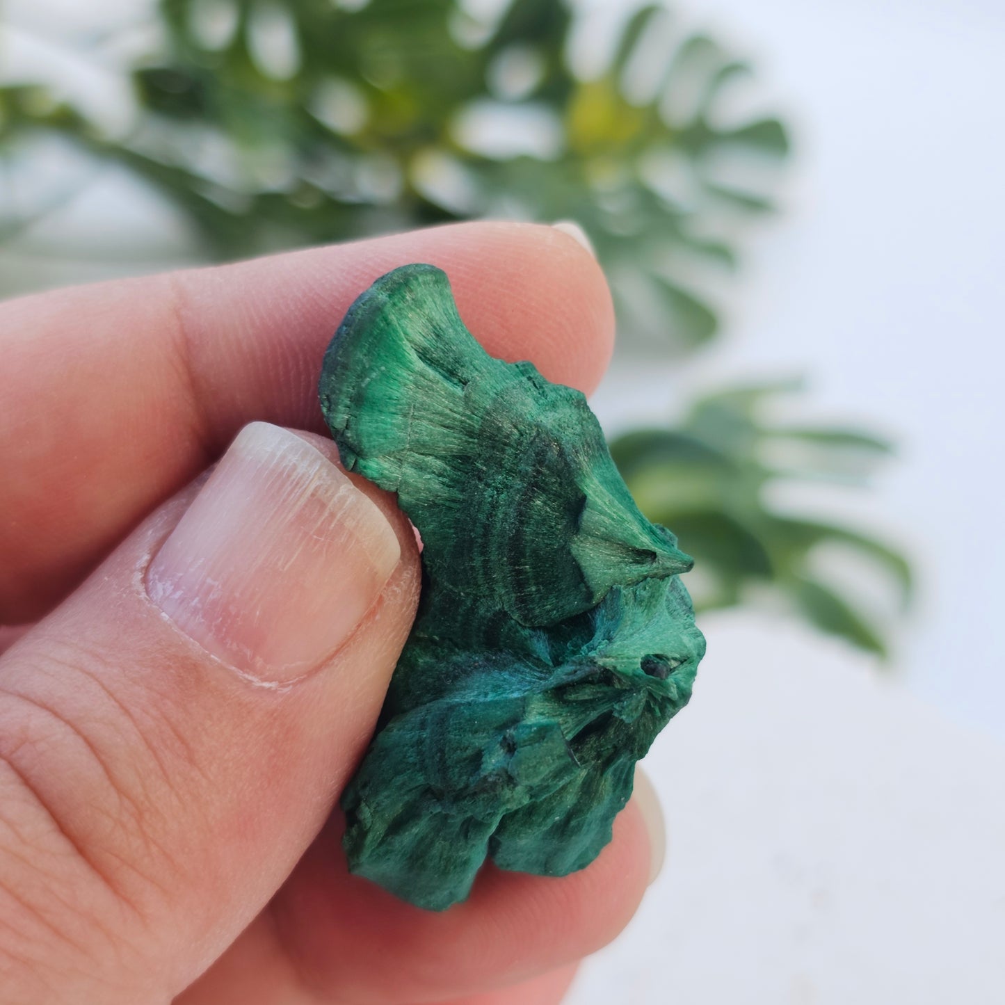 Raw Velvet Malachite | Specimen A | Guangdong, China