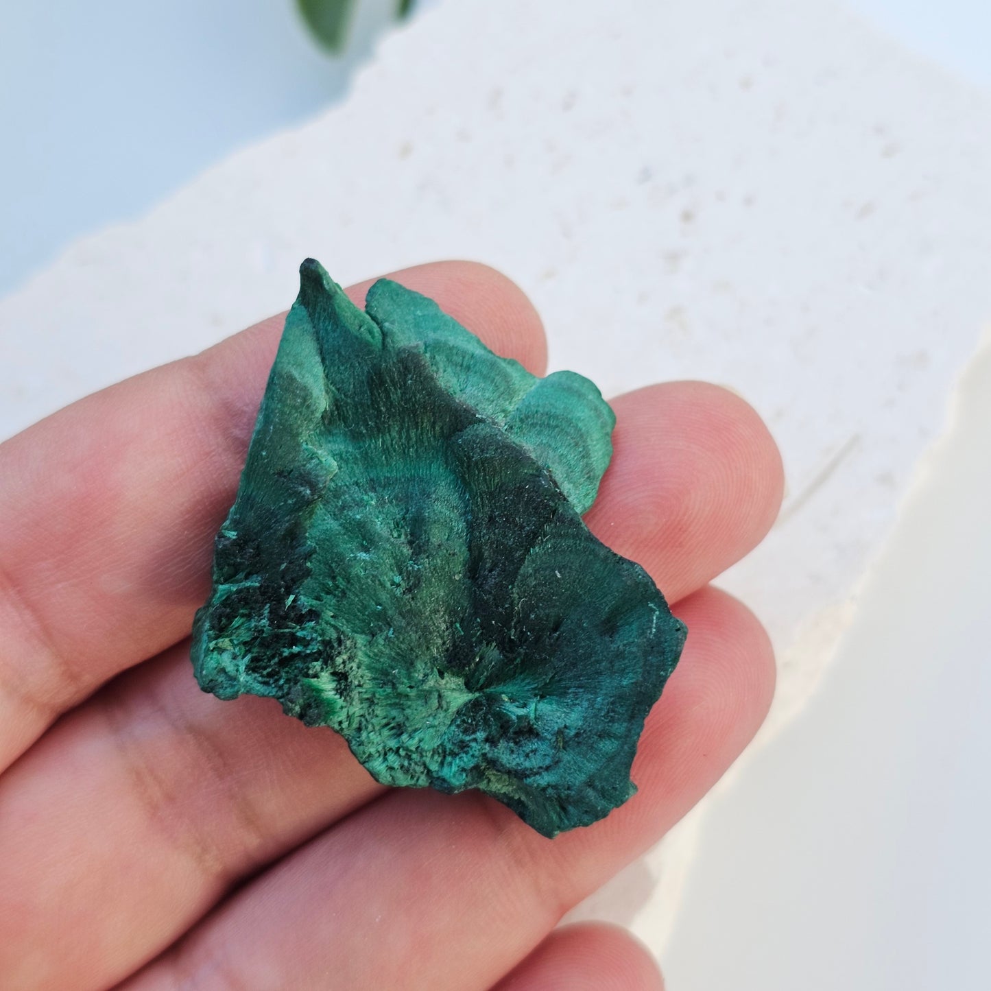 Raw Velvet Malachite | Specimen B | Guangdong, China