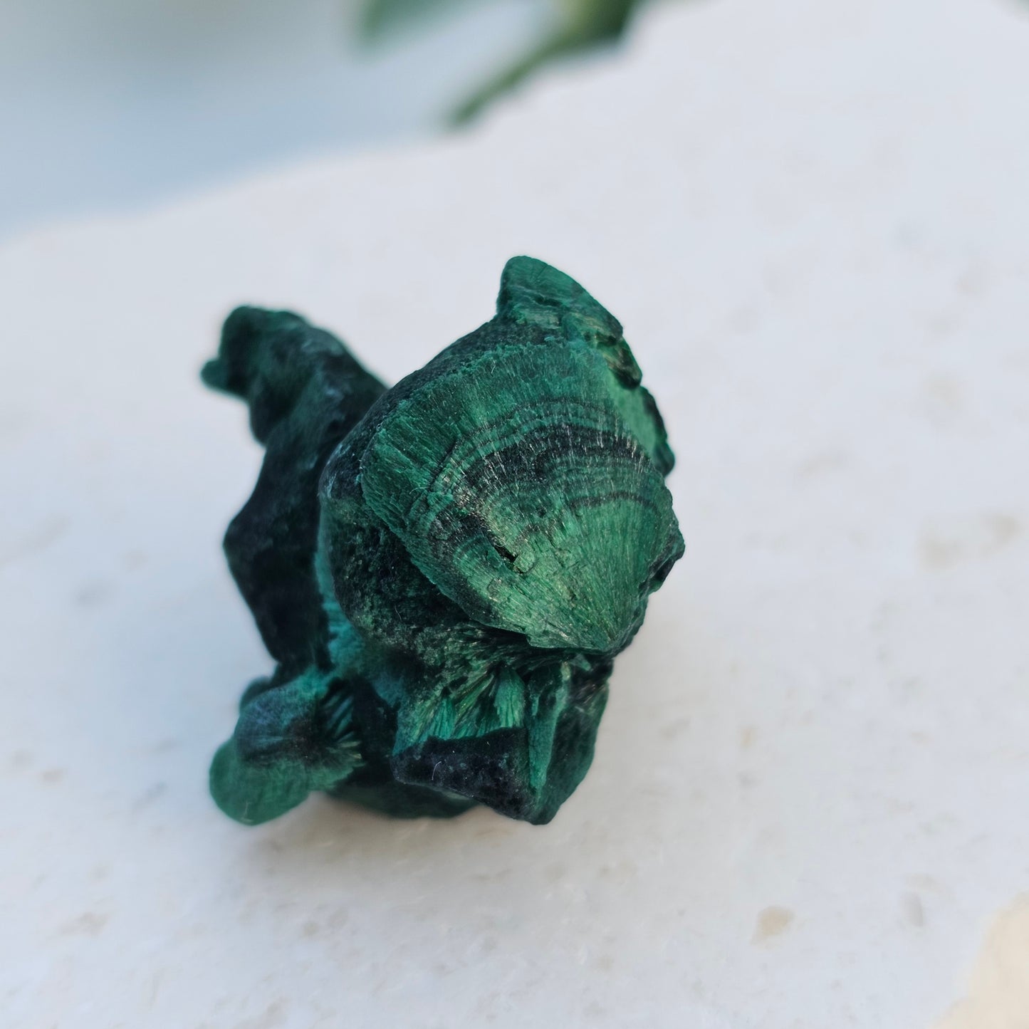 Raw Velvet Malachite | Specimen C | Guangdong, China
