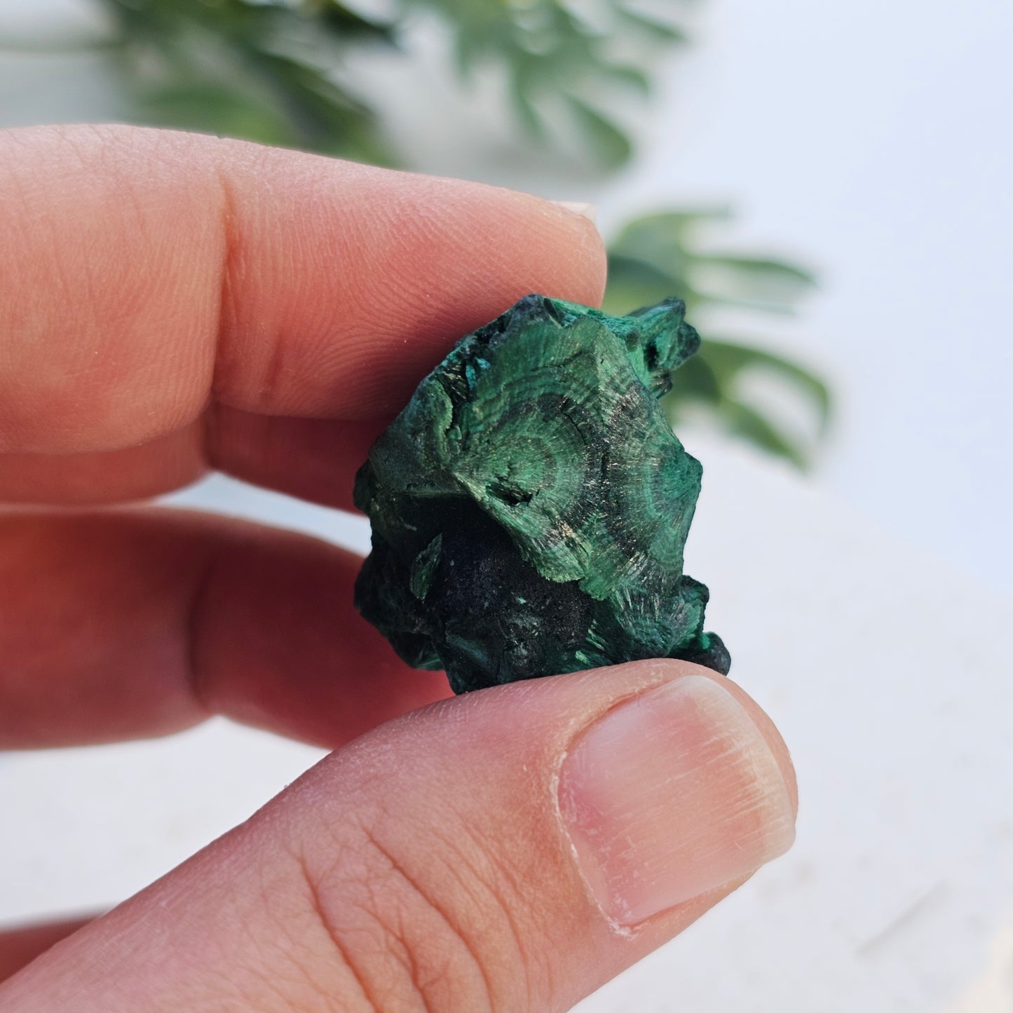 Raw Velvet Malachite | Specimen C | Guangdong, China
