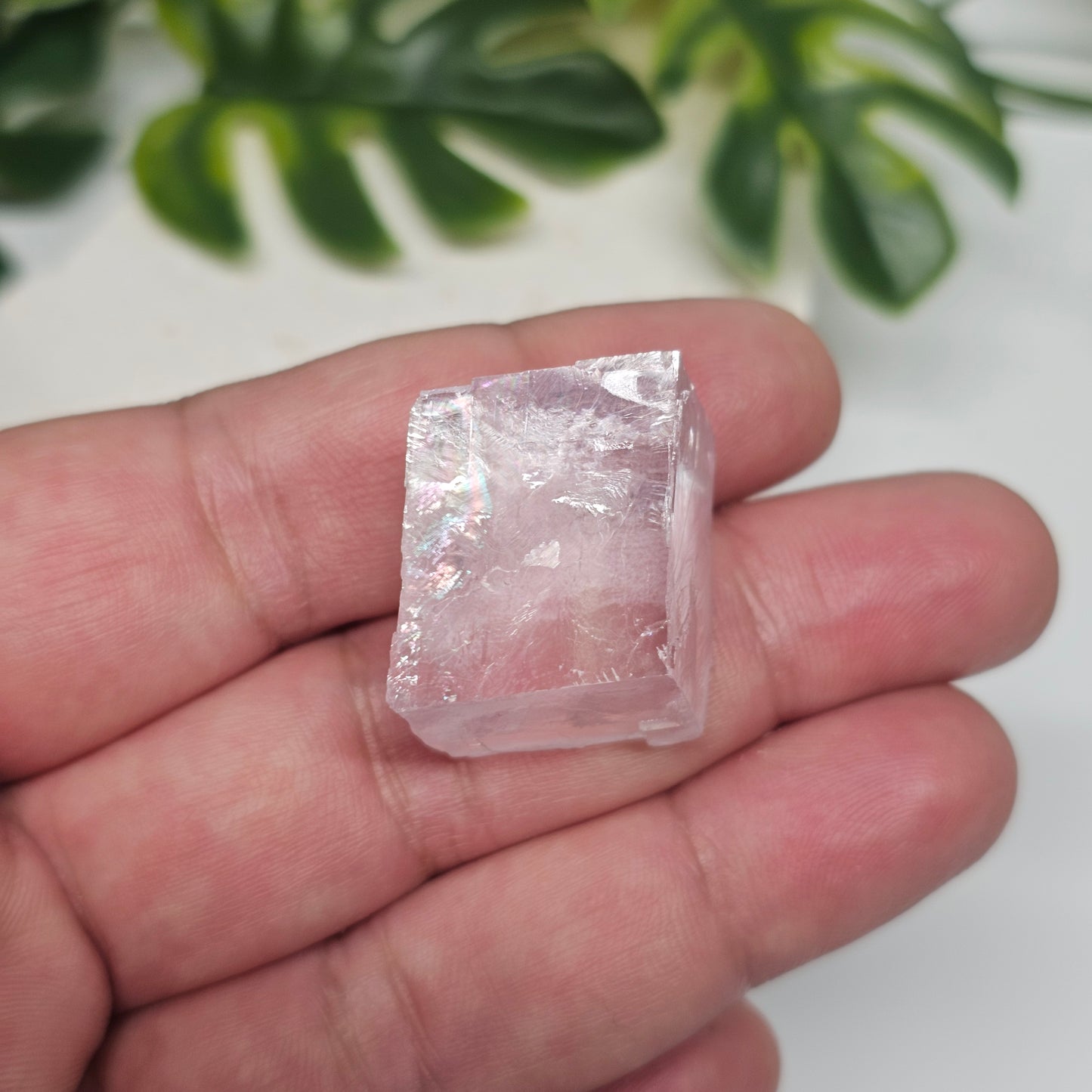Lavender Optical Calcite | Madagascar Crystal Specimen | Option A