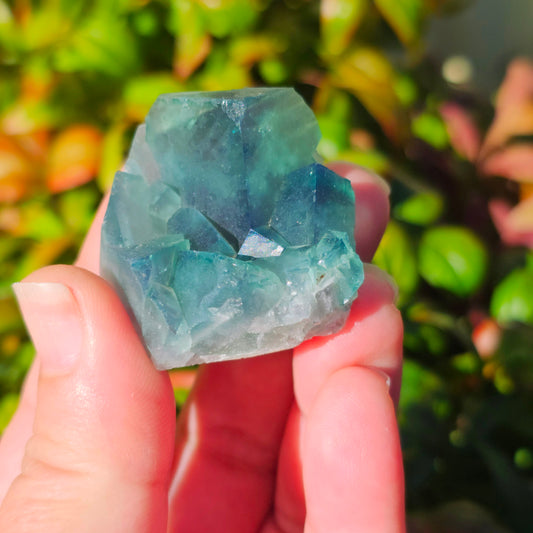 Colour-Change Fluorite on Matrix | Specimen C | Green to Blue Daylight Fluorite | UV Reactive | Madagascar