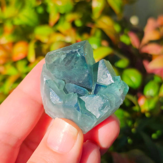 Colour-Change Fluorite on Matrix | Specimen C | Green to Blue Daylight Fluorite | UV Reactive | Madagascar