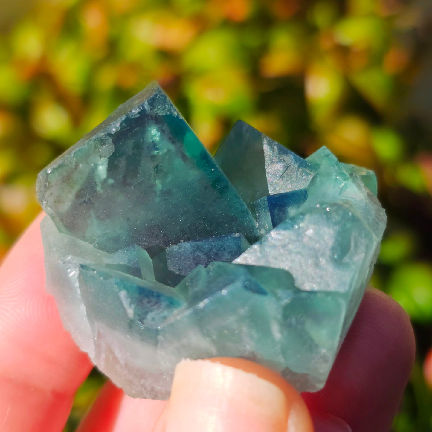 Colour-Change Fluorite on Matrix | Specimen C | Green to Blue Daylight Fluorite | UV Reactive | Madagascar