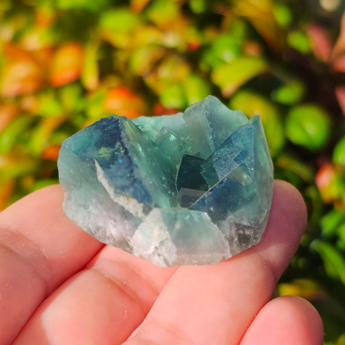Colour-Change Fluorite on Matrix | Specimen C | Green to Blue Daylight Fluorite | UV Reactive | Madagascar