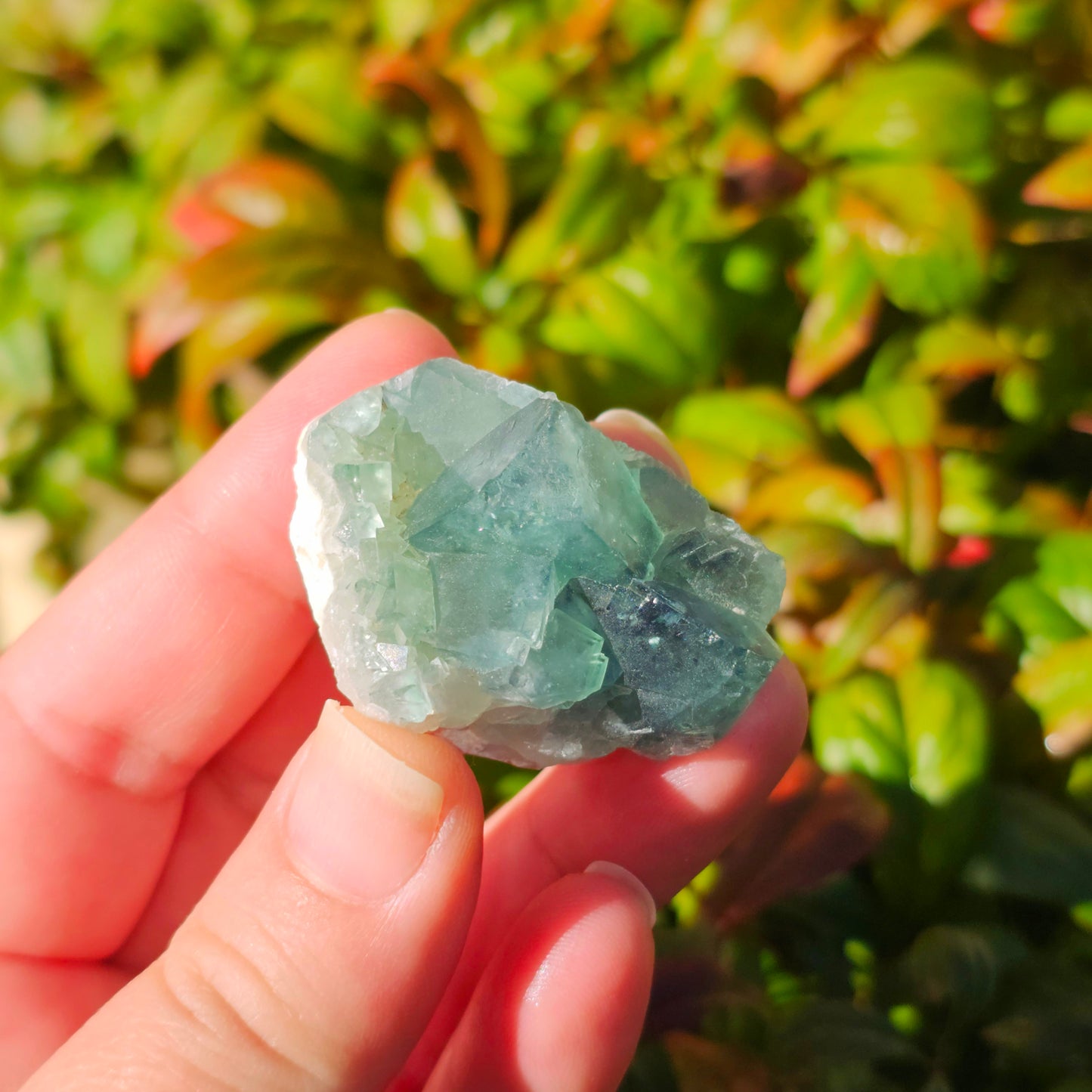 Colour-Change Fluorite on Matrix | Specimen A | Green to Blue Daylight Fluorite | UV Reactive | Madagascar