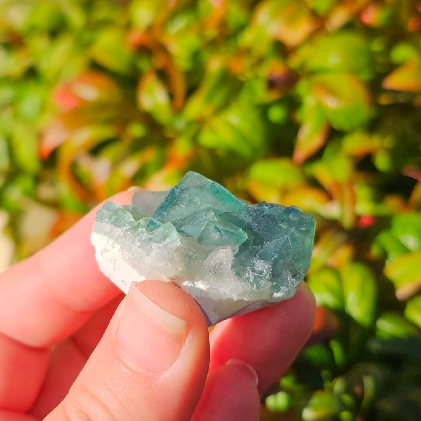 Colour-Change Fluorite on Matrix | Specimen A | Green to Blue Daylight Fluorite | UV Reactive | Madagascar