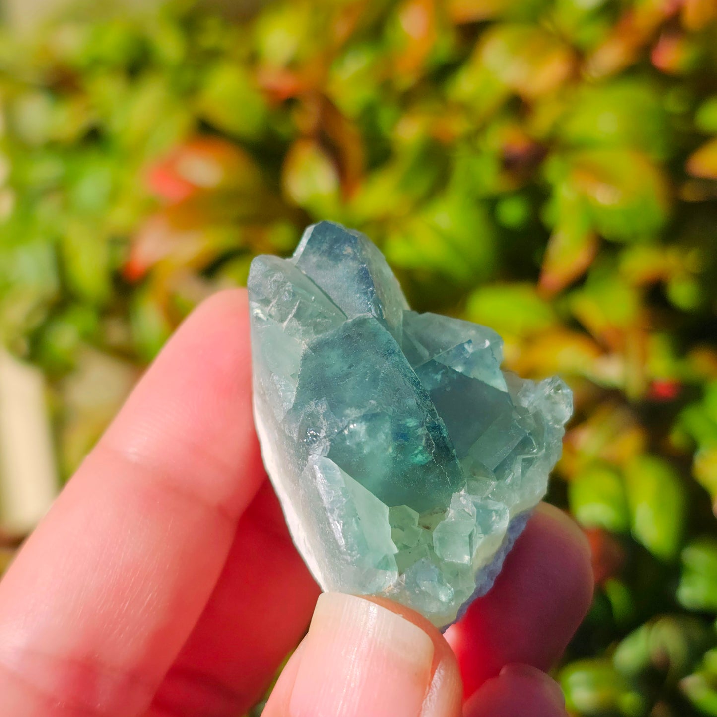 Colour-Change Fluorite on Matrix | Specimen A | Green to Blue Daylight Fluorite | UV Reactive | Madagascar