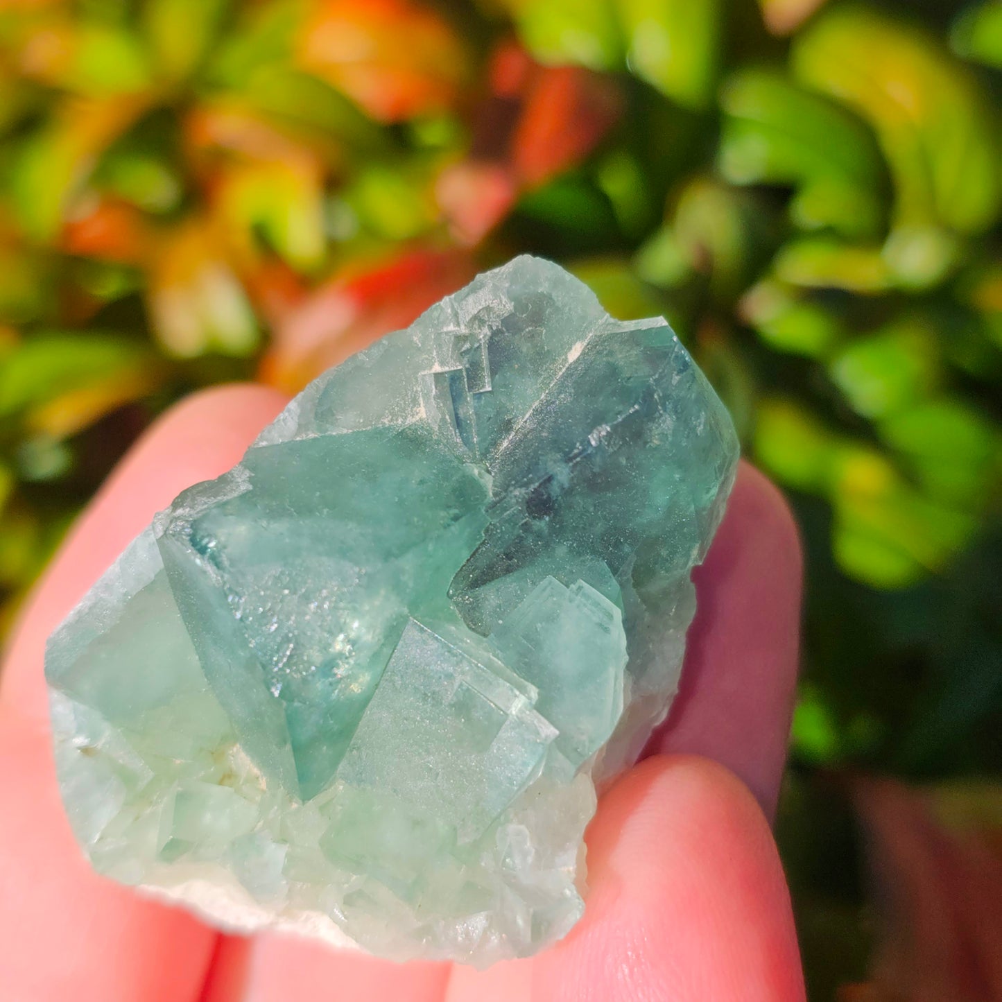 Colour-Change Fluorite on Matrix | Specimen A | Green to Blue Daylight Fluorite | UV Reactive | Madagascar