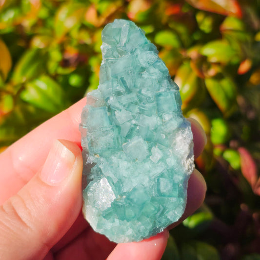 Colour-Change Fluorite on Matrix | Specimen B | Green to Blue Daylight Fluorite | UV Reactive | Madagascar