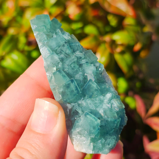 Colour-Change Fluorite on Matrix | Specimen B | Green to Blue Daylight Fluorite | UV Reactive | Madagascar