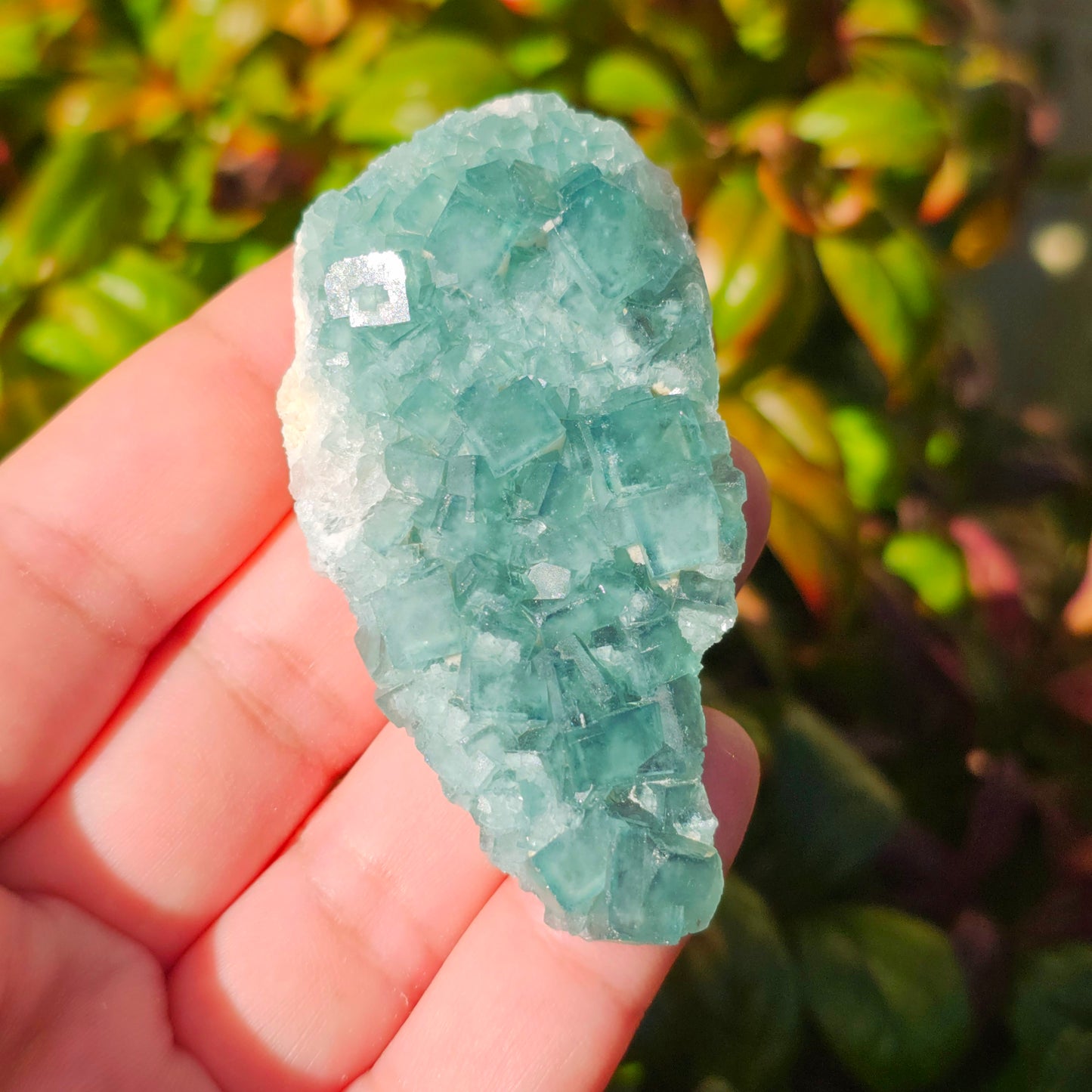 Colour-Change Fluorite on Matrix | Specimen B | Green to Blue Daylight Fluorite | UV Reactive | Madagascar