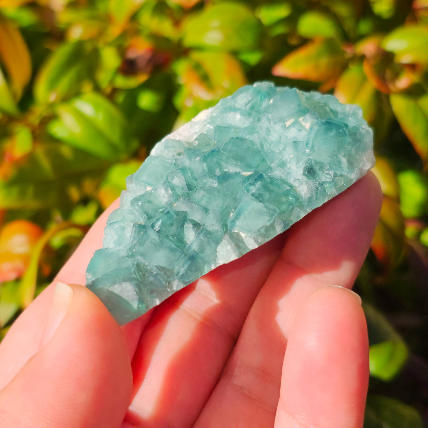 Colour-Change Fluorite on Matrix | Specimen B | Green to Blue Daylight Fluorite | UV Reactive | Madagascar