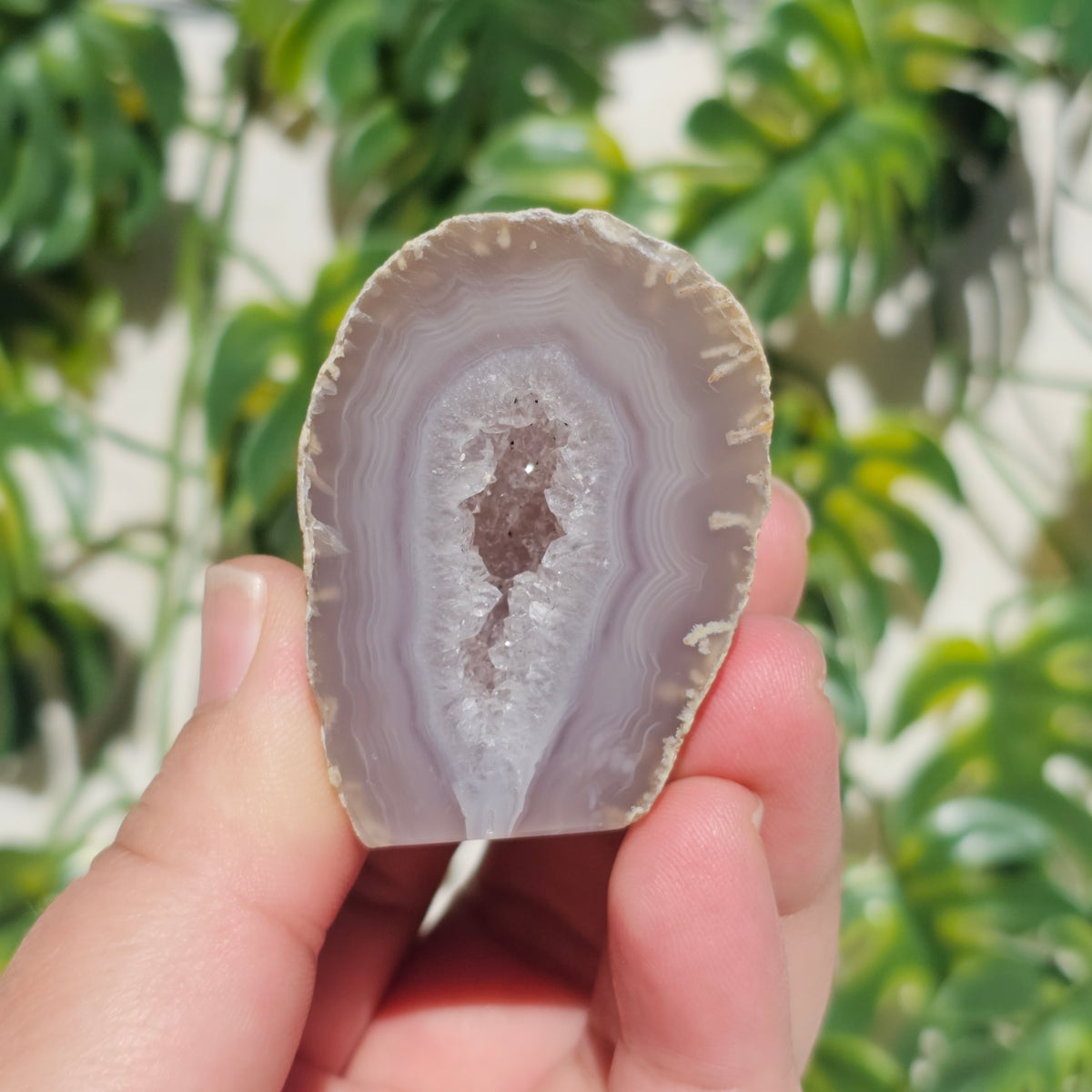 Small Agate Geodes (Choose Your Own)