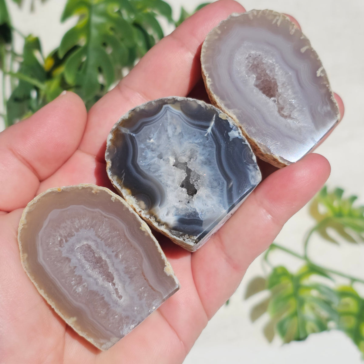 Small Agate Geodes (Choose Your Own)
