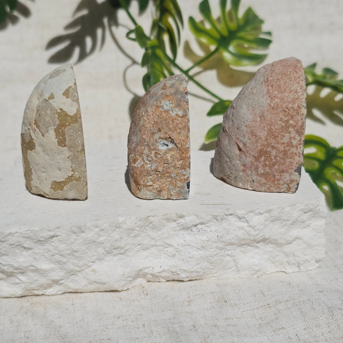 Small Agate Geodes (Choose Your Own)