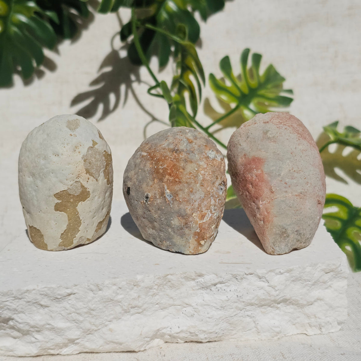 Small Agate Geodes (Choose Your Own)