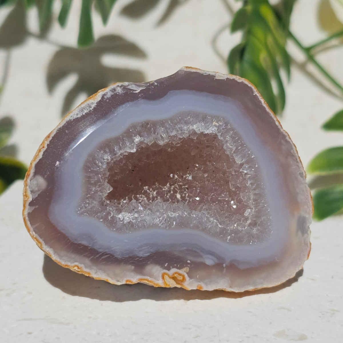 Brazilian Agate Geode (S-A)