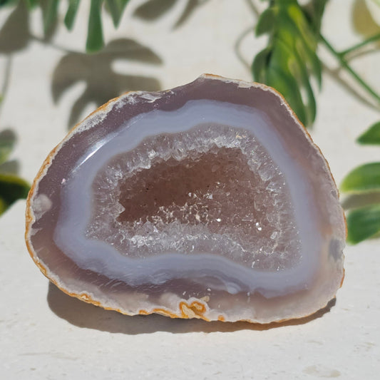 Brazilian Agate Geode (S-A)