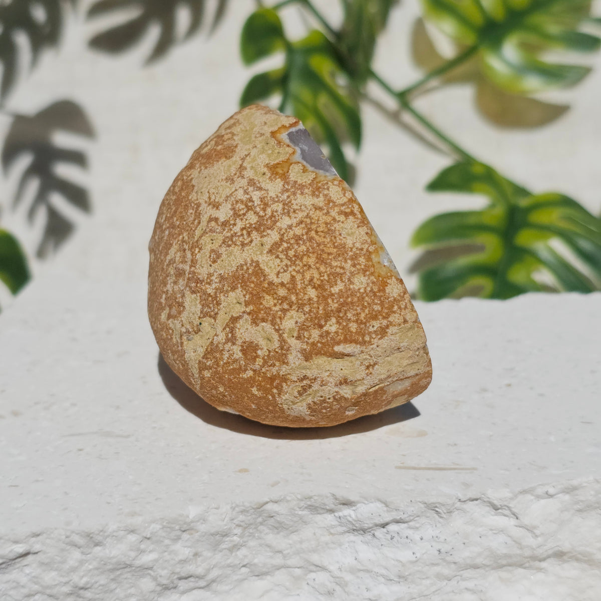 Brazilian Agate Geode (S-A)